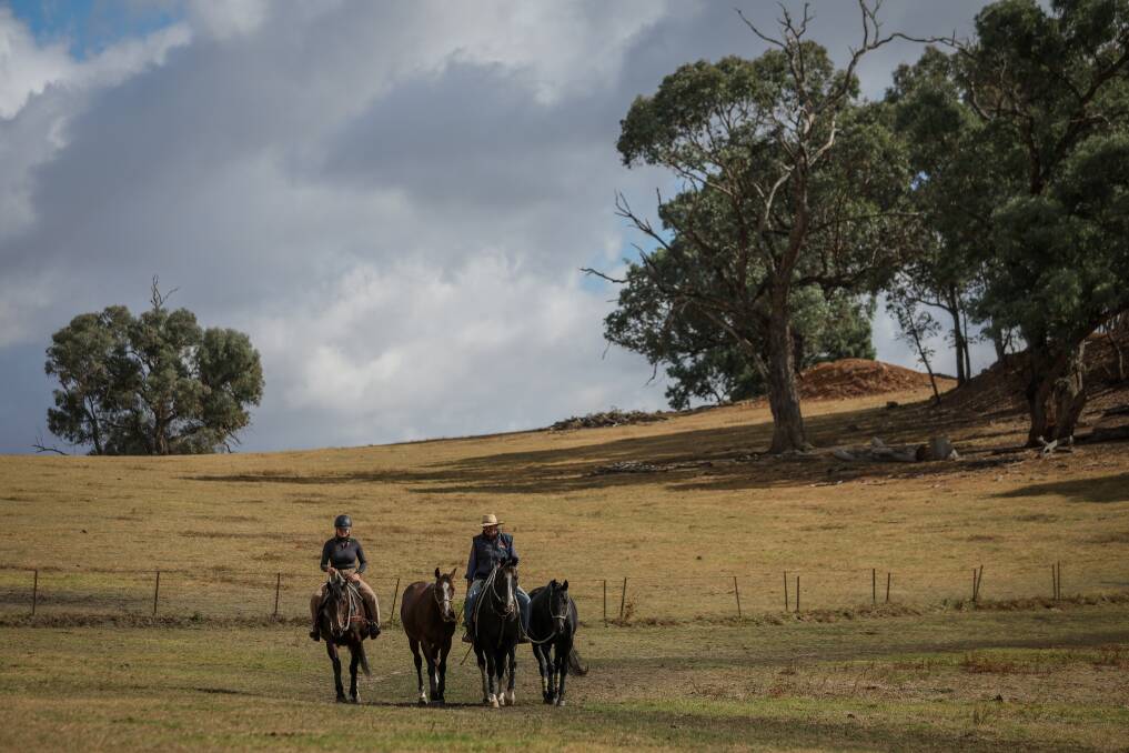 Jimmy Grills, on his family farm outside Holbrook, is also well known as a fine polocrosse player. Picture by James Wiltshire