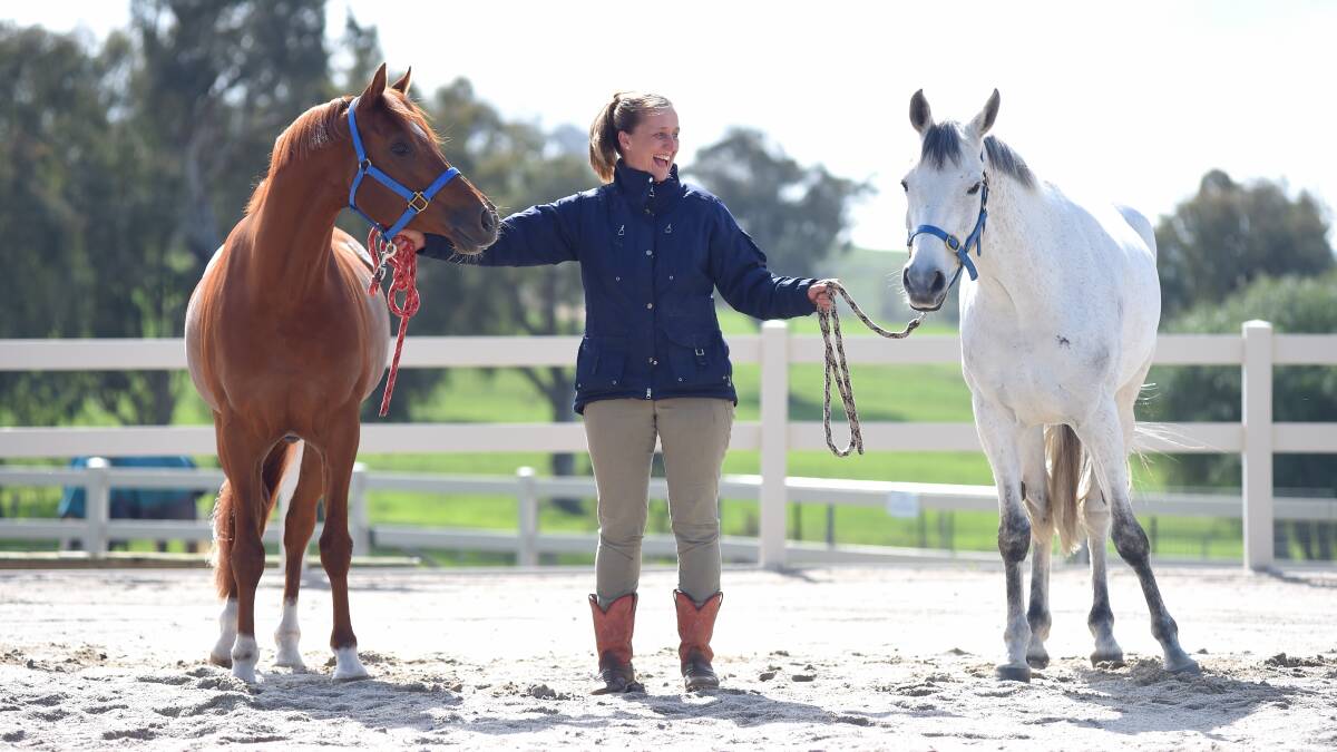 HORSING AROUND: Table Top trainer Amanda Kettlewell, of Oso Arabians, laughs as Oso Cap Braveheart and Oso Edith prepare for their overseas trip to the World Endurance Championships. Picture: MARK JESSER