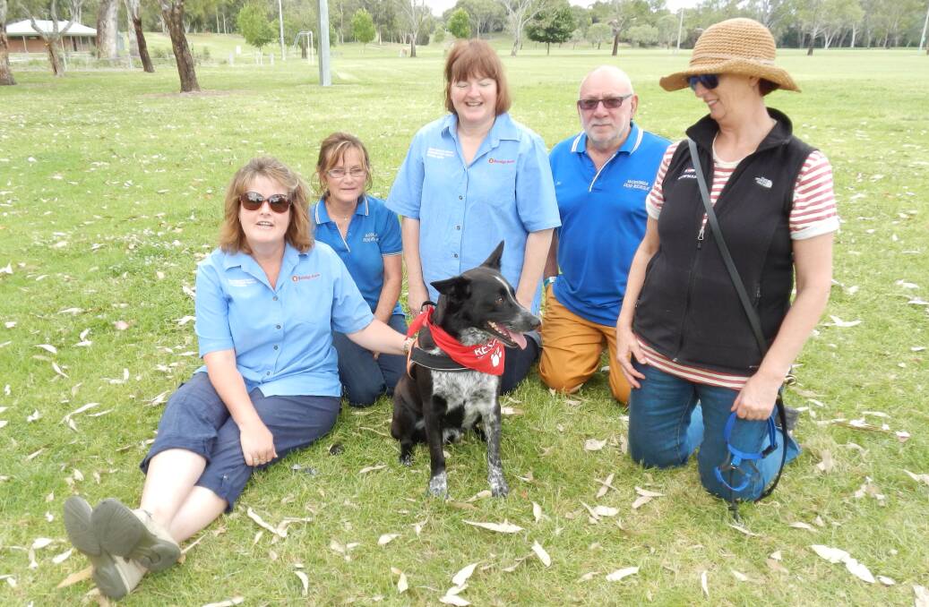 GROUP EFFORT: Mount Beauty and District Bendigo Community Bank branch manager Shelley Maher, Wodonga Dog Rescue's Peta McRae, Lynne Short, Jim Toole, Sue White and Louie celebrate the community's fundraising efforts.