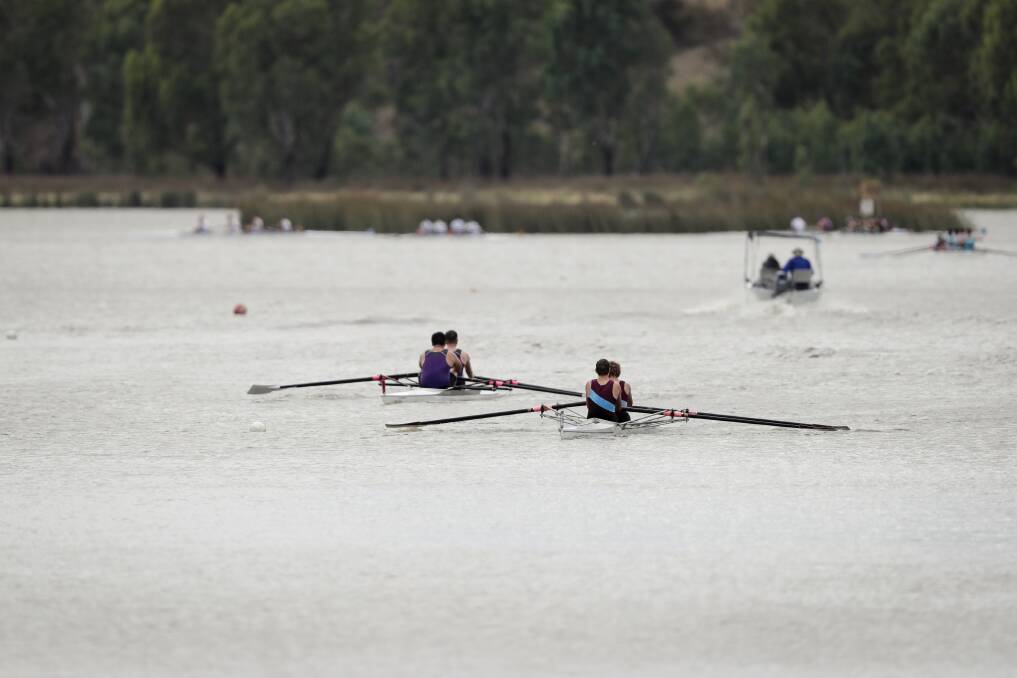 WARNING: Rowers compete in the 152nd Murray Rowing Association annual rowing regatta at Lake Moodemere last month. Parks Victoria issued a blue-green algae alert on Friday.