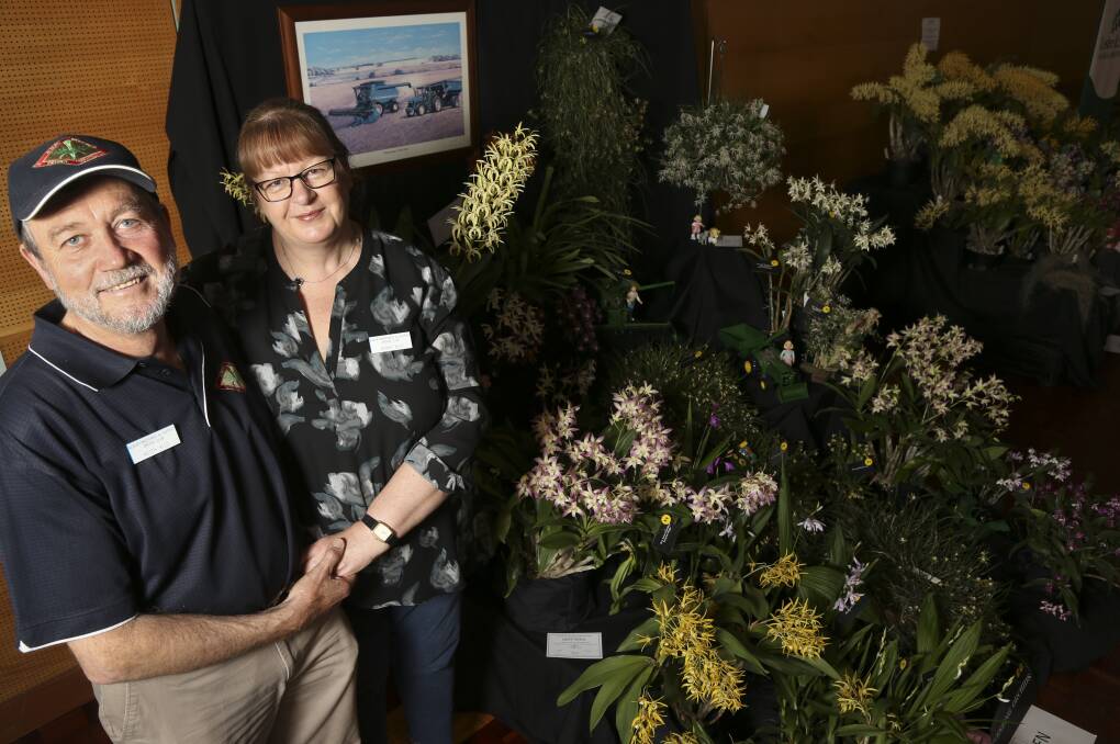 CHAMPION DISPLAY: A project developed in their lounge room brought success for Table Top couple Keith and Jenny Kilo at the Albury-Wodonga & District Orchid Club's annual show. Picture: ELENOR TEDENBORG