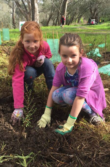 TEAM WORK: Josie Alexander and Edith Freeman, both 7, had already planted 10 trees together by this stage of the National Tree Day event at Albury's Padman-Mates Park.