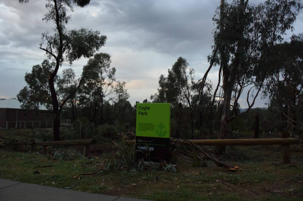 Trees in West Wodonga, particularly around Parkers Road, suffered considerable damage in Monday's downpour.