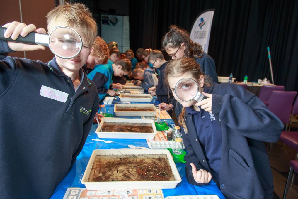 CLOSE EXAMINATION:  Will Fuller, 10, of Saint Francis of Assisi, and Rutherglen's Jacqui Pearson, 11, with some water bugs. Picture: SIMON BAYLISS