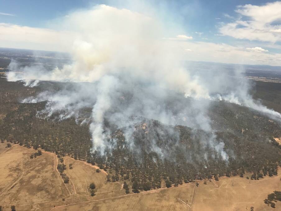 Fire in North East national park grows to 500 hectares