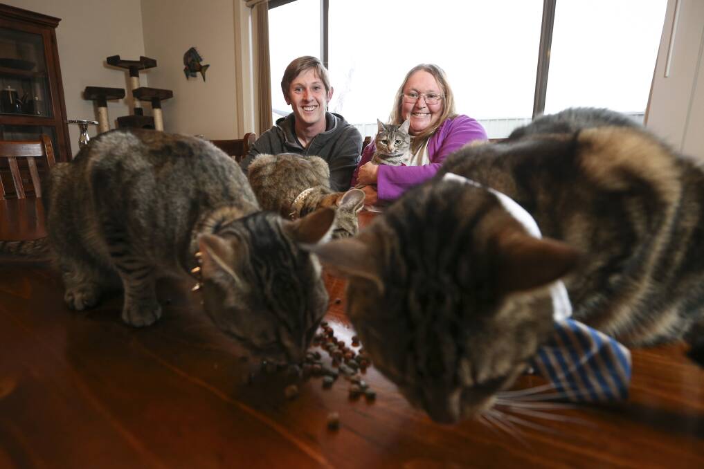 AMONG FRIENDS: Bella, formerly Mumma Cat, is welcomed by new owner Karen Gardner and her son Jeremey, although the other housemates may have something else on their minds just now. Picture: JAMES WILTSHIRE