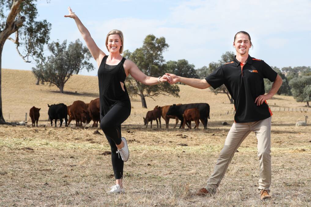 CASH COW: Maddi Bullock and Ryan Speed will be auctioning a cow donated by Graham Chapman to support their fundraising for Stars of the Border Dance for Cancer. Picture: MARK JESSER