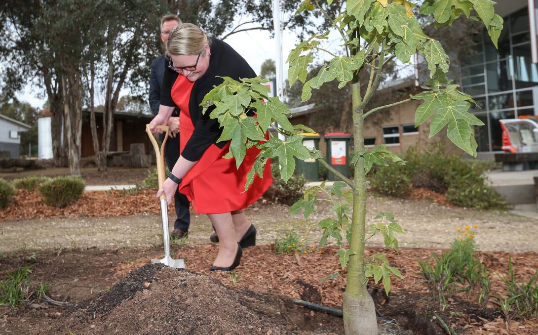 CONTINUED GROWTH: Charles Sturt University's Cassandra Webeck plants a commemorative tree in Thurgoona. In 2016 the institution became Australia's first university to be deemed carbon neutral. Picture: JAMES WILTSHIRE