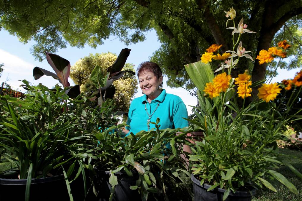 Annette Collins with some of the potted plants she will sell to raise money for the Border Ovarian Cancer Awareness Group. Picture: DAVID THORPE