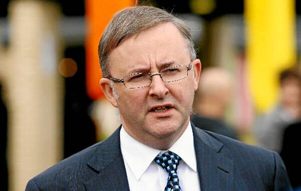 Anthony Albanese wanted the insult withdrawn.