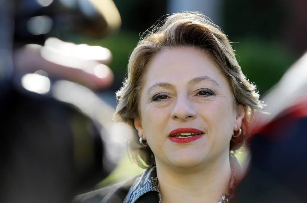 Sophie Mirabella will earn $71,680 a year for being part of the board of a government ship-builder.