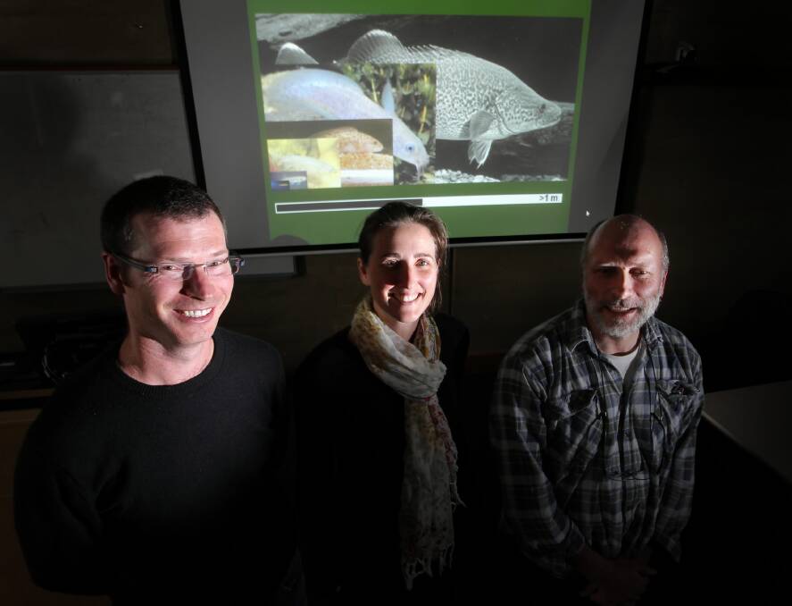 LEFT: Book contributors Dr Rick Stoffels, Dr Nicole McCasker and co-author Dr Paul Humphries at the CSU launch yesterday. Picture: DAVID THORPE