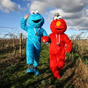 Elmo and Cookie Monster - Sean Arundell and Dave Maxwell - among the vines at St Leonards Vineyard. Photo by BEN EYLES.
