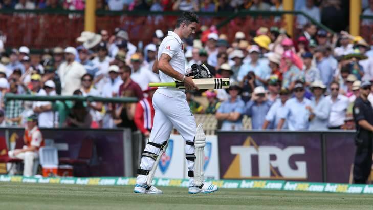 Downcast: Kevin Pietersen walks back after being dismissed by Ryan Harris on Saturday. Photo: Anthony Johnson