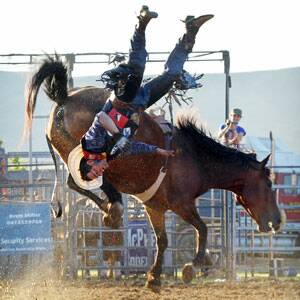 Crowds in a spin at Tallangatta rodeo