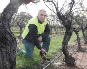 Malcolm Campbell has been monitoring soil-moisture levels at his vineyard.