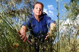 Insp Marg Wehner, of the Rural Fire Service, is warning that fuel loads will be abundant soon as the warmer weather dries off grass. Picture: MATTHEW SMITHWICK