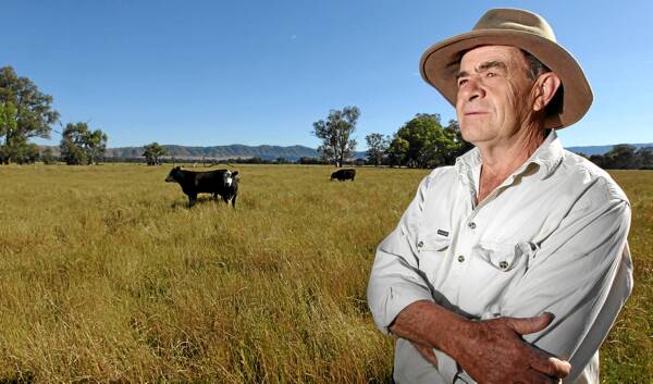 Ken Heywood says there are areas that would benefit from a return of cattle grazing to the high country. Picture: KYLIE GOLDSMITH