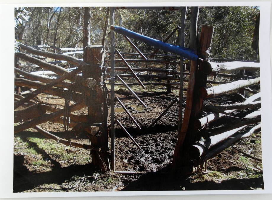 A police photograph of the horse trap set up to catch brumbies.