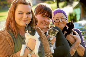 Nicola Jones and Jess Manks, of For The Animals, and Albury Cat Rescue manager Eva Cameron have their cats Gavin, Percy, and Liquorice preened and ready for adoption. Picture: MATTHEW SMITHWICK