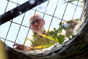 Peter Schmidt inspects the well in his backyard that he uses to water his garden. PICTURE: John Russell.