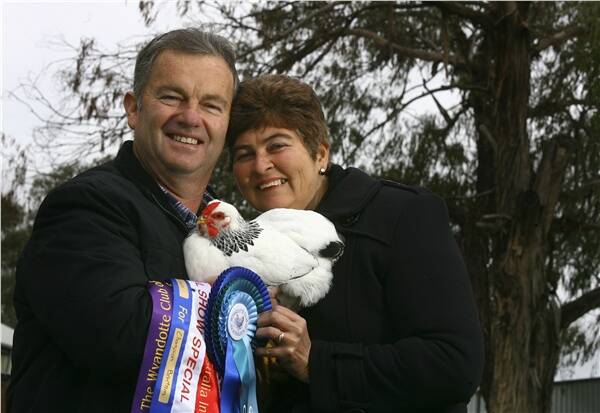 The champion bird of the show with owners Gary and Diane Ferguson from Chiltern. Picture: NIC GIBSON