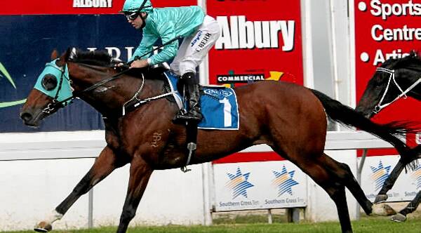 Fat Al wins this year’s Albury Guineas.
