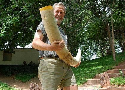 Deadly serious ... Shooters Party MP Robert Borsak on safari in Bulawayo, Zimbabwe where he shot a bull elephant.