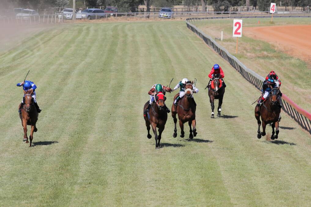Regular Aussie, second from left, ridden by Nick Souquet storms down the middle to win the Berrigan Cup on Saturday. It was the gelding’s second win in the feature race. Pictures: TARA GOONAN