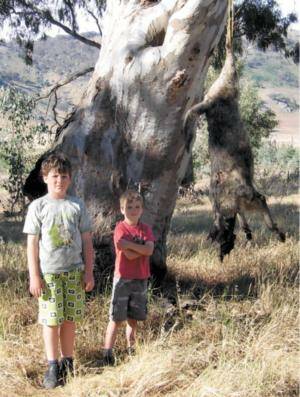 Charlie Star, 9, and Harry Star, 6, with the large dog shot near Wymah.