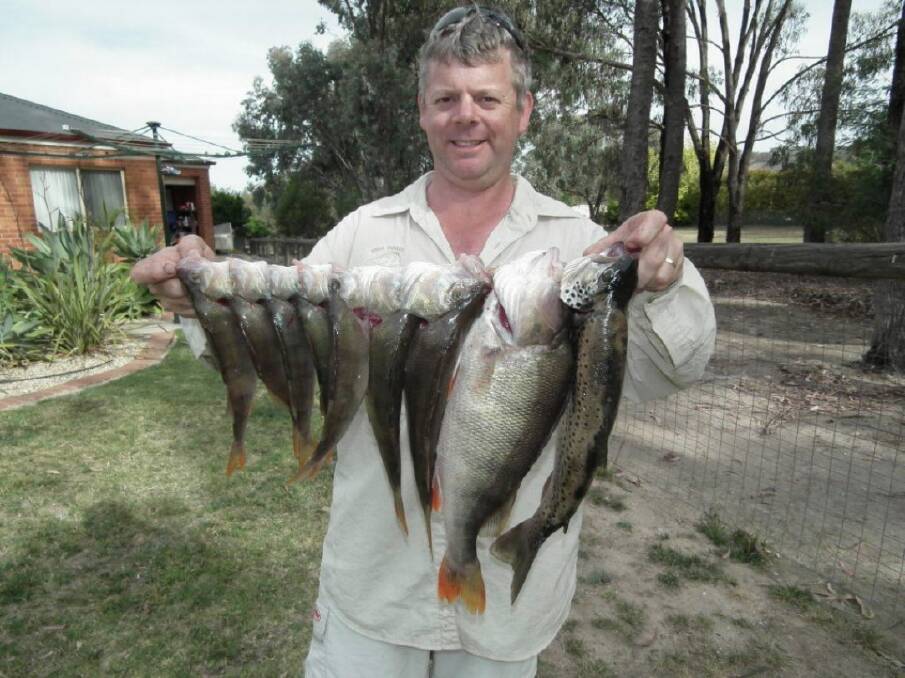 Adrian Kent caught this mixed bag in Lake Hume. The big redfin went 48 centimetres and the trout 47 centimetres.