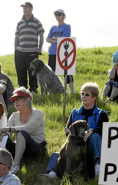 Irene Dunstan, at front right with her dog, and fellow residents protesting.