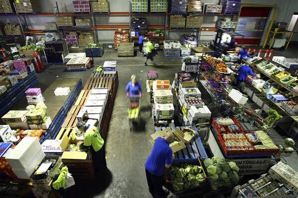 Employees busy at work in the warehouse of Arnold’s Fruit Market, Wodonga. Pictures: MATTHEW SMITHWICK