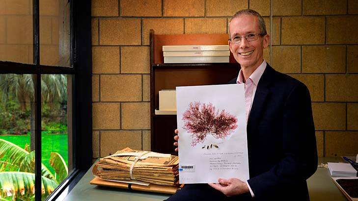 Melbourne's Royal Botanic Garden's director Tim Entwisle with an image of the red seaweed named after him. Photo: Penny Stephens