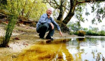 Richard Scott at Noreuil Park which is part of a stretch of the Murray with a blue-green algae alert. Picture: DAVID THORPE