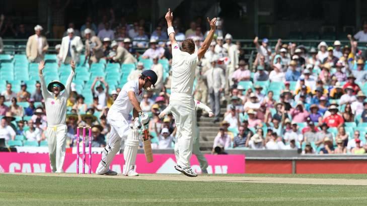 Alastair Cook was dismissed in tame fashion ... again. Photo: Anthony Johnson