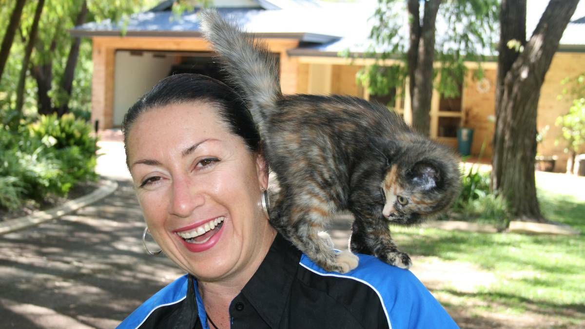 Lynda McKilligan from Busselton animal rescue group SAFE hopes animals bought as Christmas presents have gone to good homes.