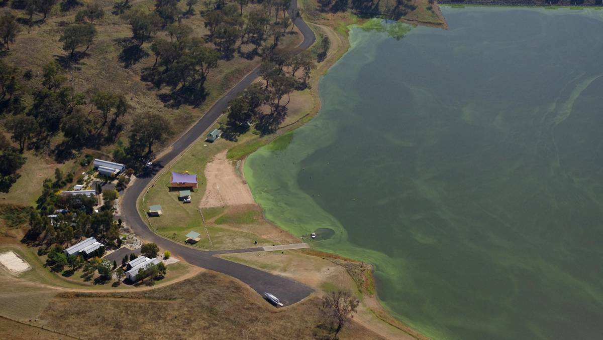  Brian Harvey took this image of Ben Chifley Dam, Bathurst, NSW earlier this month showing the outbreak of blue-green algae.