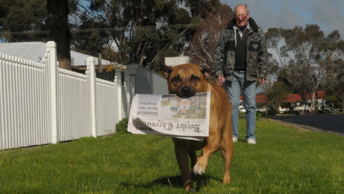 BORDERTWON: Newspaper delivery services in Bordertown have been given an extra "paw" over the years by a trusty dog named Oka. He is pictured here with owner Nicholas Sas.