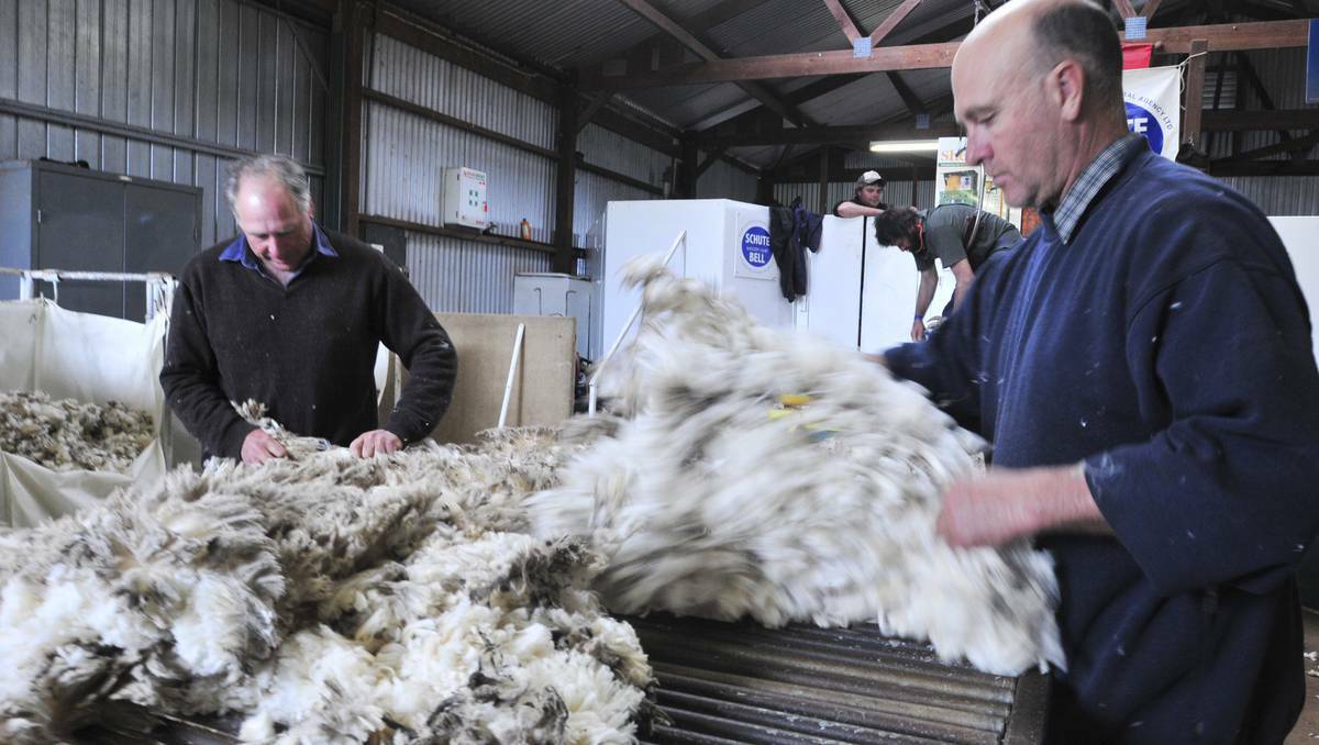ORANGE: Chris Blowes, Adrian O'Keefe skirting the wool at the ANFD Schute Bell 2012 –2015 Merino Wether Comparison. Picture: Jude Keogh