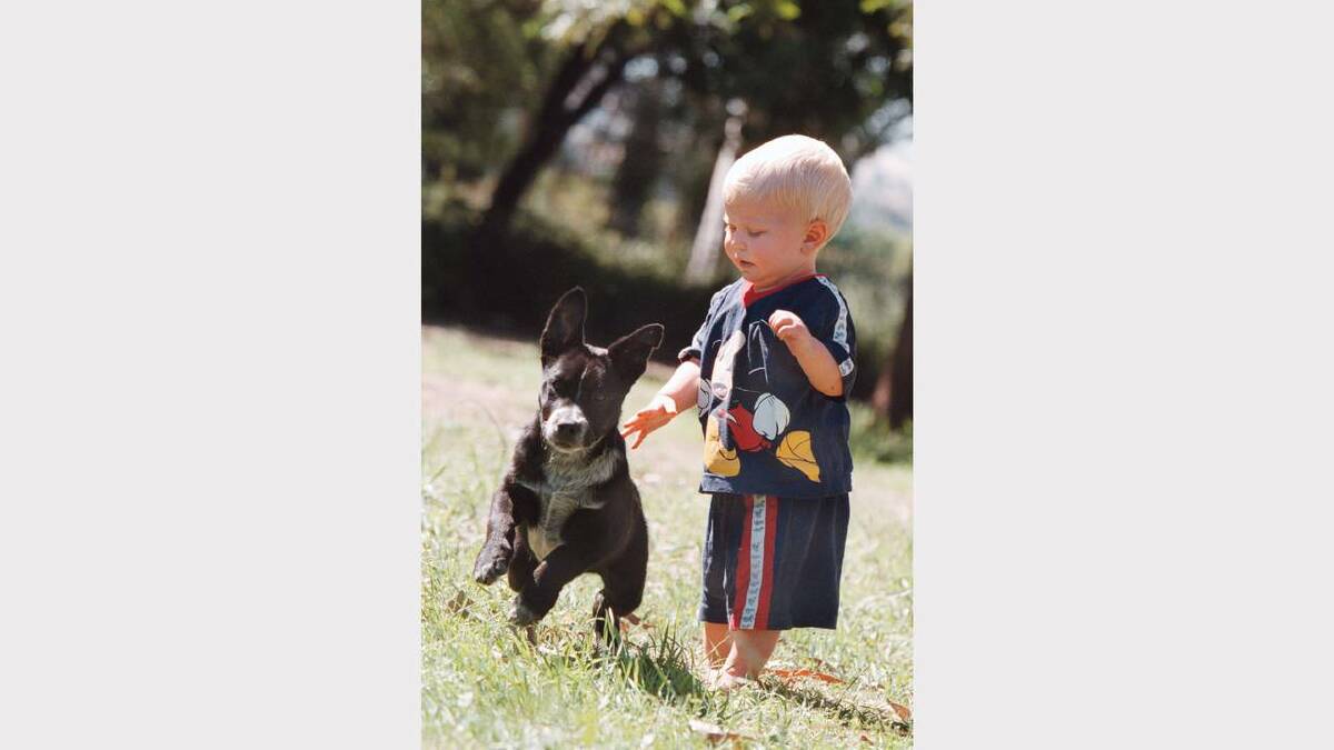 Joshua Ray, 11 months, and a 10-week old blue heeler/border collie cross dog that was found near their home last Saturday. Picture: PETER MERKESTEYN
