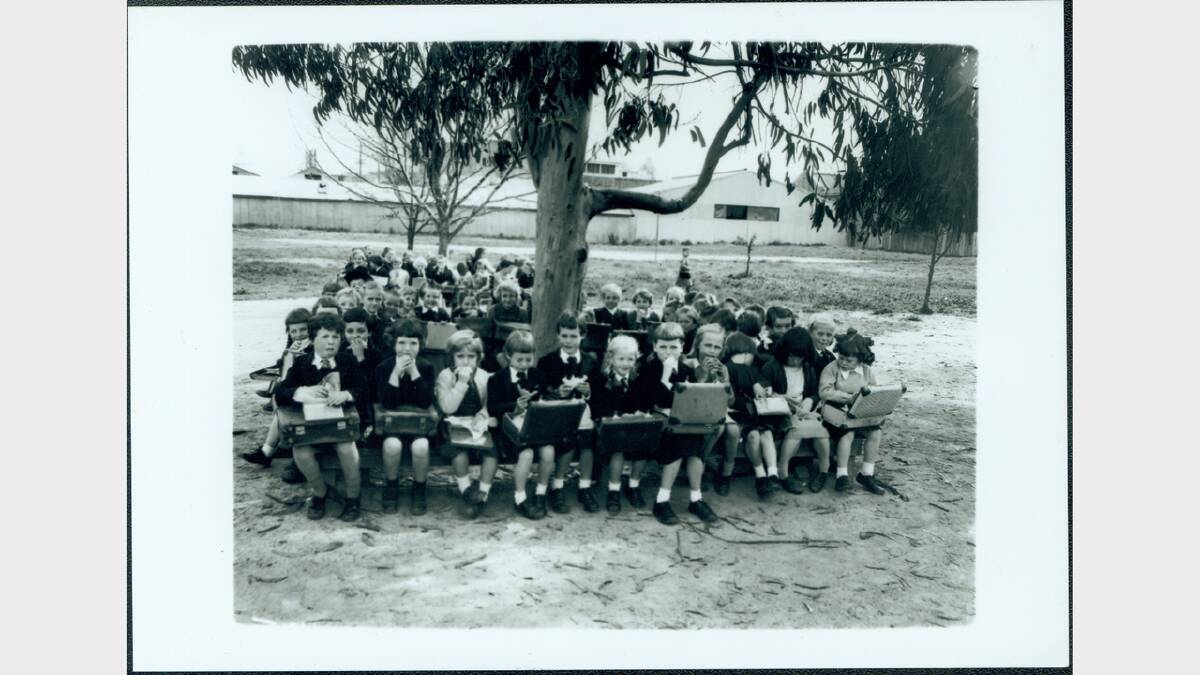 1960 photograph of a group of schoolchildren sitting under a tree at Albury Public School, eating their lunches. Picture: ALBURYCITY COLLECTION