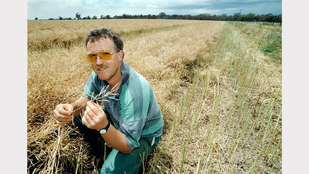 Richard Sargood in a soon-to-be-harvested paddock of canola crop near Corowa. Picture: PETER BATSON