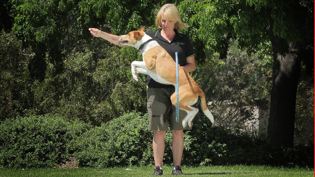 Brydie Charlesworth with Missy performing a trick ahead of Pets Day Out. Picture: TARA ASHWORTH