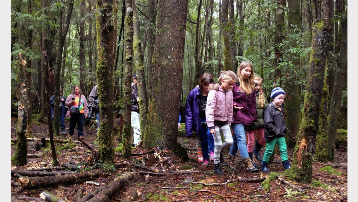 Bindi Irwin and friends enjoy a rainforest walk. Picture: Grant Wells, The Advocate