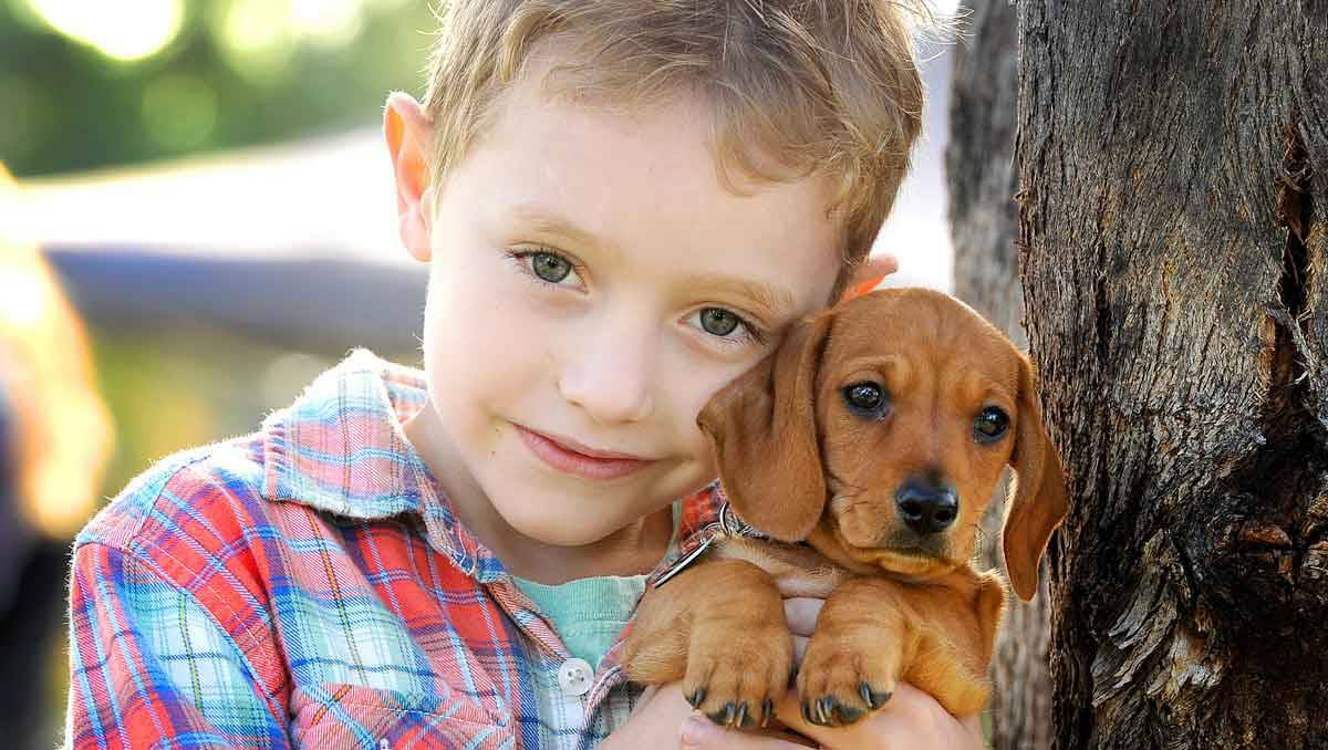 Pictured at the opening of Mildura Tourism Week was Harvy, 7, from Mildura with new puppy, Spud. Pic: Clancy Shipsides
