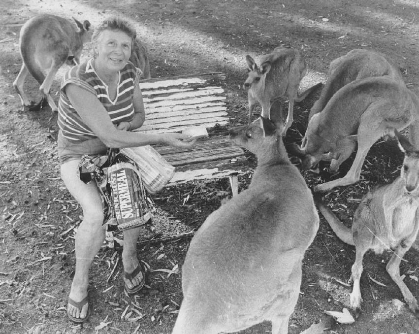 Ettamogah Sanctuary through the years: Sanctuary founder, Heidi Peck, with kangaroos in the 1980s.