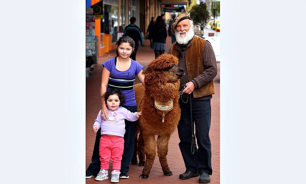 Djanarah Delphin-Kennedy, 12, with her niece Michelle Delphin-Kennedy, 2, of Albury, with Ludo Mineur, of Sheffield, Tasmania, and his alpaca Pedro the Poser, in High Street, Wodonga. Picture: MATTHEW Smithwick