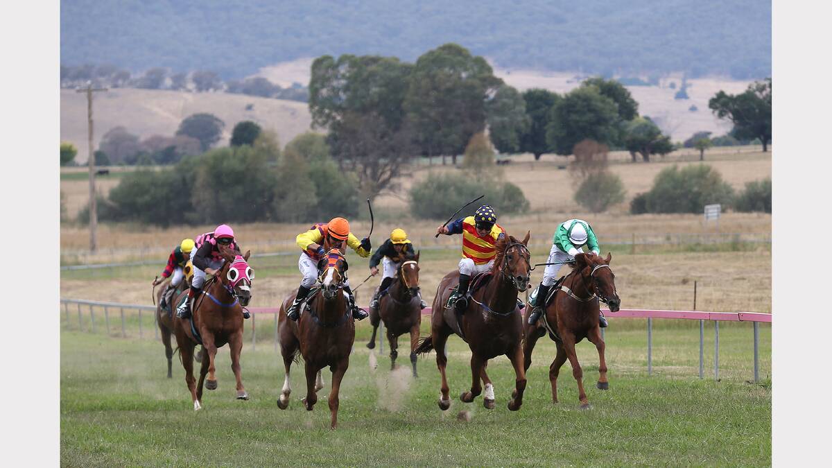 2012 Dederang Cup. Call 1300 655 666. PICTURES: John Russell.
