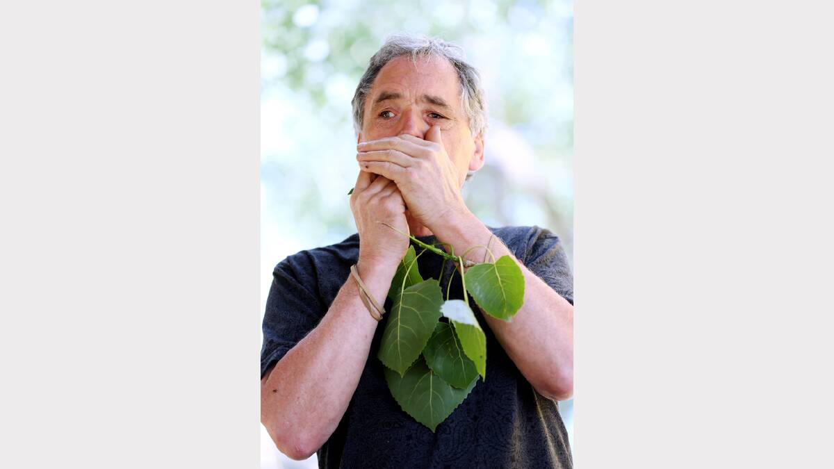 Jeff Wilmott of Warburton playing a Cottonwood leaf.